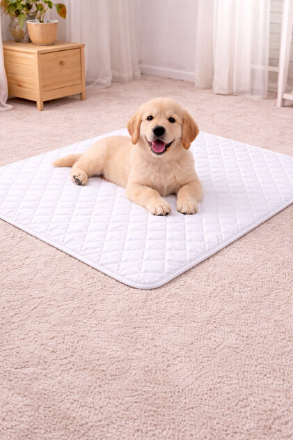 Koi Home Yıkanabilir Kopitoneli sıvı geçirmez kedi /köpek çiş pedi