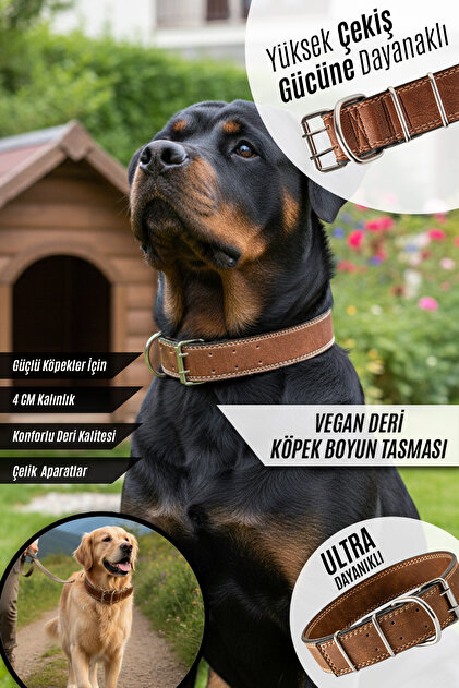 Köpek Boyun Tasması 4 cm Genişlik – Çelik Aparatlı, Büyük Irklar İçin