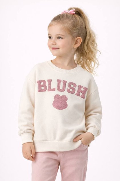 Blush Embroidered Sweatshirt