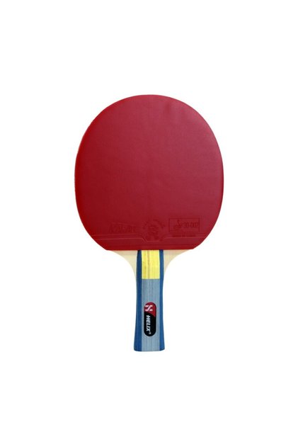 Table Tennis Racket Hunter 4 Star Ittf Approved