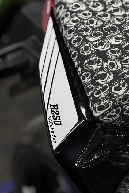 Tail Compatible Full Size Tail Sticker Set (Right and Left) for Rks R250