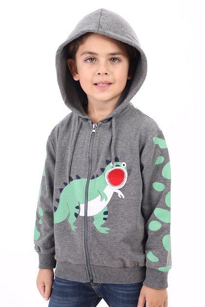 Boy's Hooded Zippered Printed Knitted Cardigan - 2 Yarns