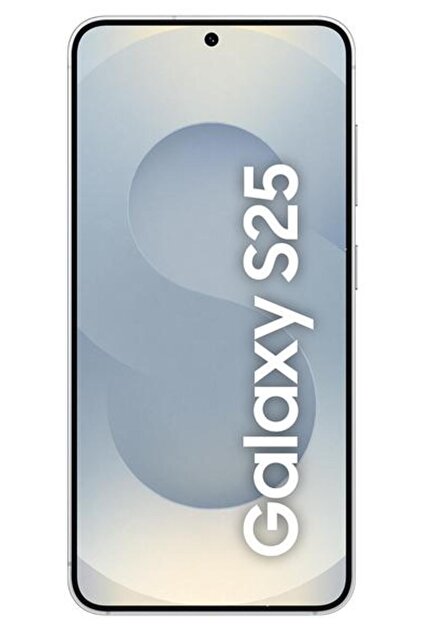 Samsung Galaxy S25 5G Smartphone 12/256GB Silver (Silver Shadow