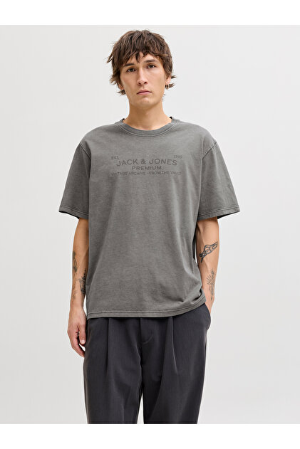 Jack & Jones Jack Jones Jprbluaıden Ss Tee Erkek Gri Tshirt