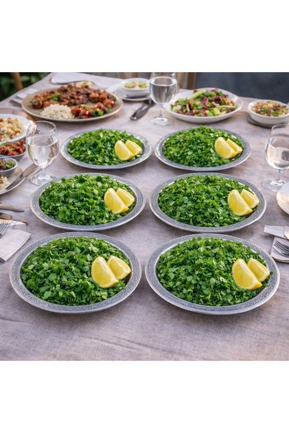 20 cm Serving Presentation Tray 6 Pcs 430 Quality Chrome Steel – Does Not Tarnish, Appetizer Kebab Coffee Presentation Tray