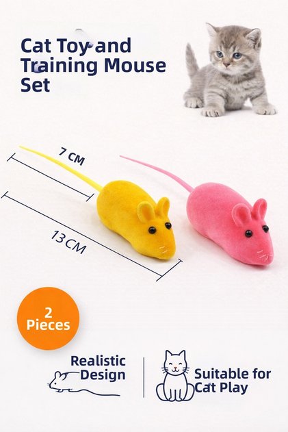 Cat Play and Training Mouse Set of 2 (2 Pieces) | Soft Plush Mouse Toy