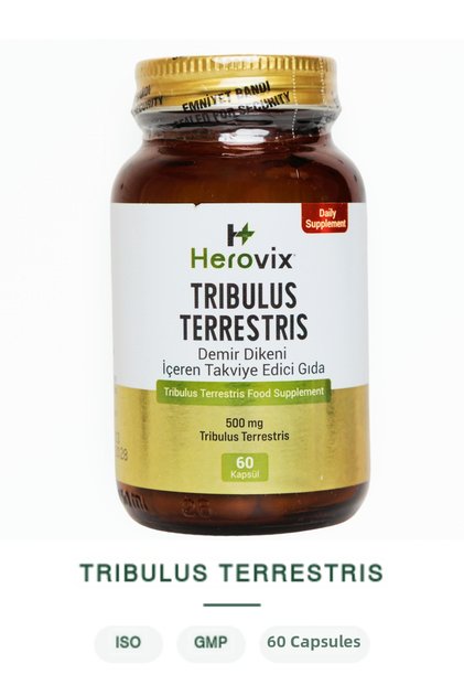 Tribulus Terrestris 500 Mg 90% Saponin – Herbal Supplement Specially for Men (60 Capsules)