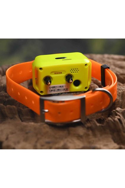 Zgarda de dresaj GPS pentru caini de vanatoare 4G IK122T cu dispozitiv de corectie
