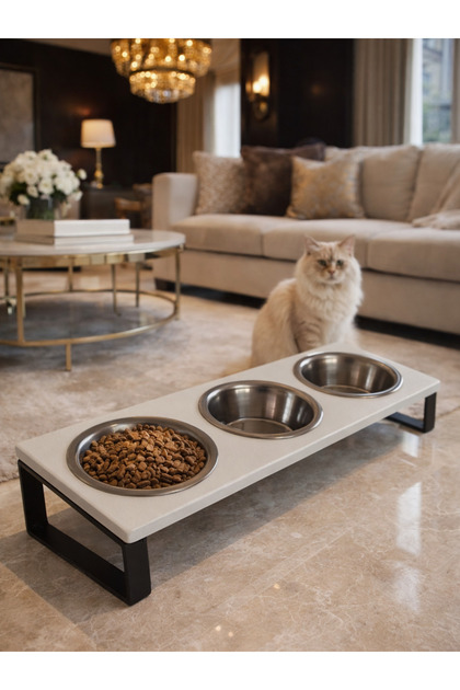 Kedi Mama Su Kabı Seti – 10° Eğimli Standlı 3’lü Çelik Mama Kabı, Kediler İçin