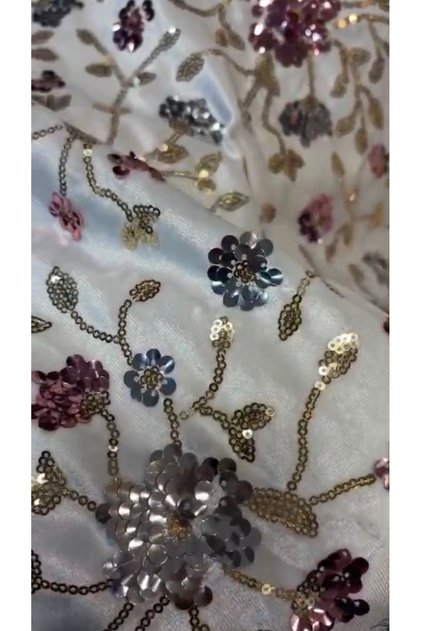 Pullu Embroidered Velvet