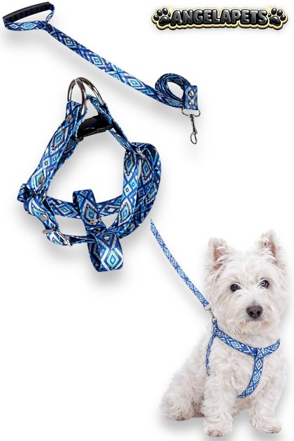 Dog Chest Harness and Walking Strap Set