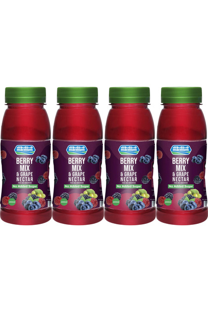Mixed Berries Blend Sweet Nectar Fruit Juice Boxes (4 x 200ml)