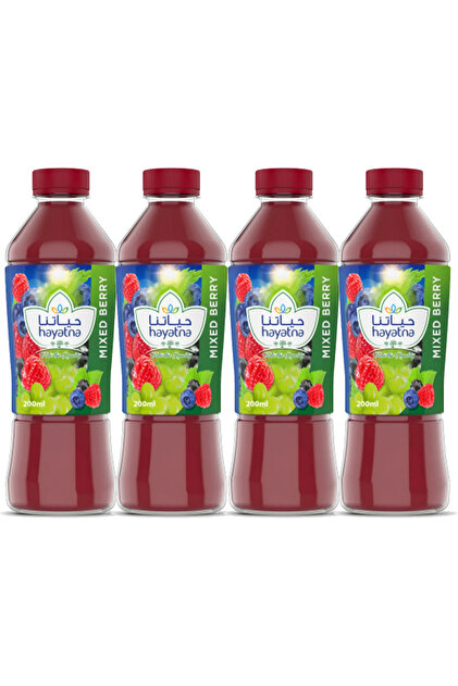 Mixed Berries Blend Sweet Nectar Fruit Juice Boxes (4 x 200ml)