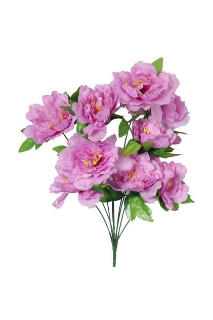 Buchet de 9 Pionii