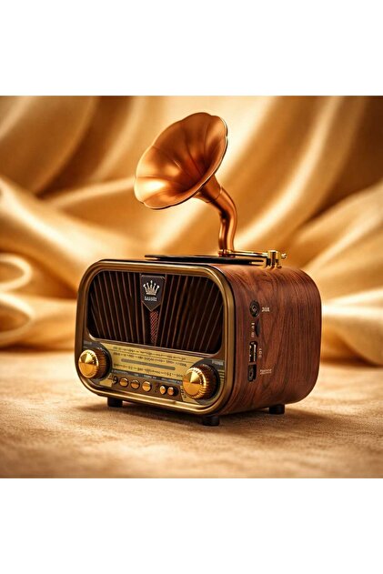 Everton RT-728 Bluetooth'luGramofon Tasarımlı 3 Bant Radyo & USB