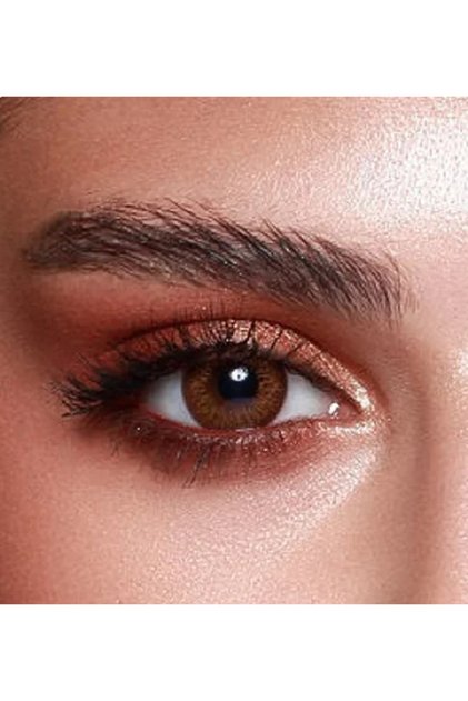 Elite Cinnamon Brown 3 Months Disposable Contact Lenses, Color Contact Lenses, Brown Contact Lenses
