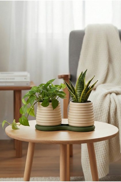 Pair İkili Saksı