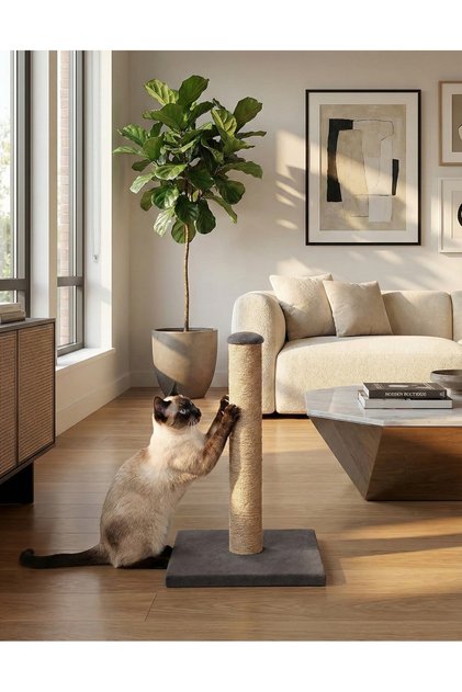 42 Cm Gray Cat Scratching Board