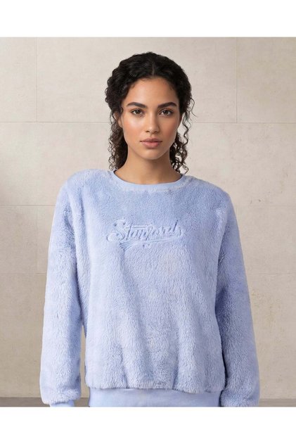 Women Blue Printed Sweatshirt