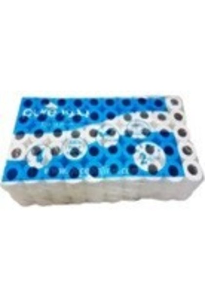 2 Ply 400 Sheets Plain Toilet Tissue Roll 100-Pieces