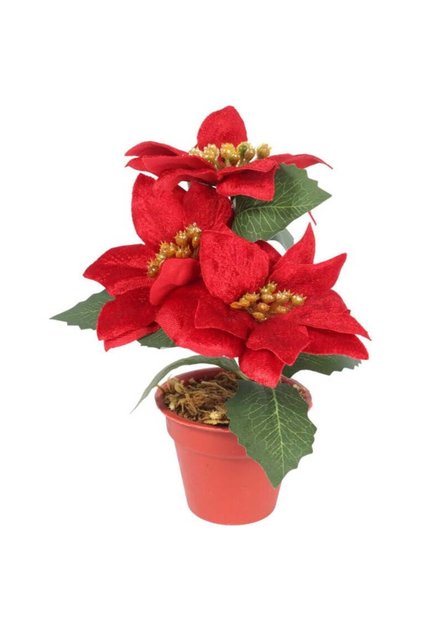 Buchet de Poinsettia de catifea în ghiveci 20 cm Culoare roșie