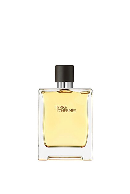 Hermes Terre d'Hermes Eau Givree 100 ml Erkek Parfüm Elsbeauty