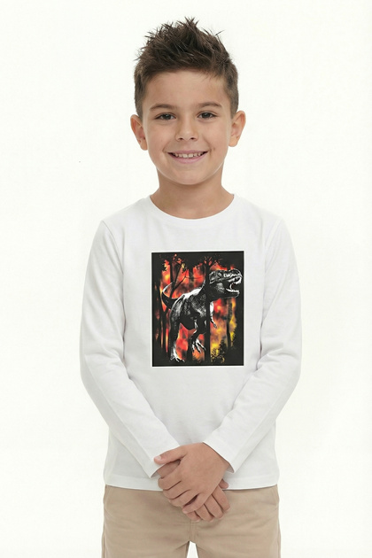 Printed Boy's Long Sleeve T-Shirt B21