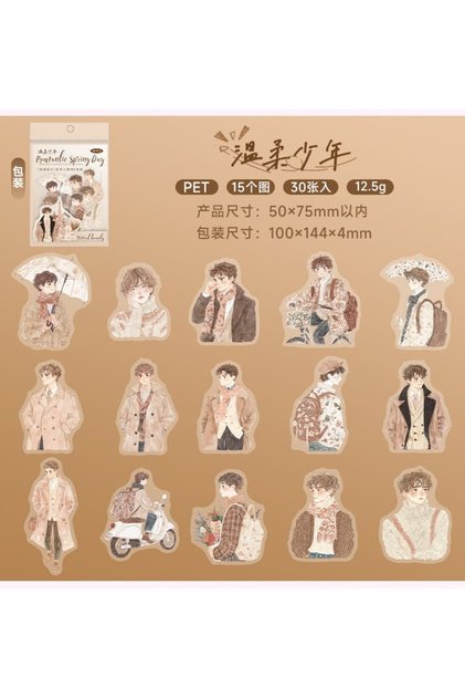 O15-30 Pieces Romantic Spring Day Girl Pet Stickers