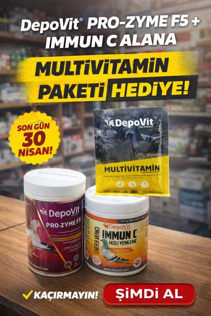 2 Lİ DESTEK SETİ HEDİYELİ ÜRÜN DEPOVİT PRO-ZYME F5+DEPOVİT İMMUN C