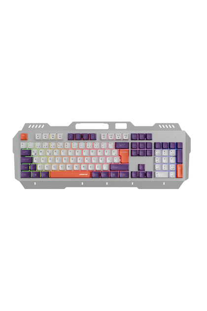 PGM36 Kablolu RGB Aydınlatmalı Gaming Oyuncu Klavye Beyaz