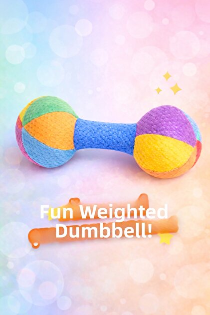 Toys Rattle Colorful Balls Dambil