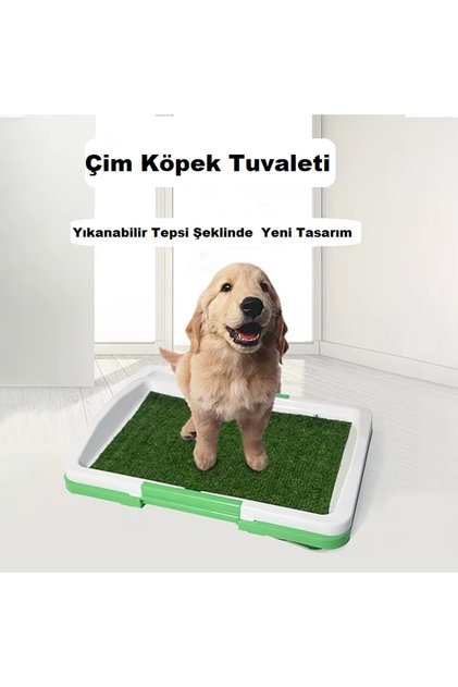 Pet Park Köpek Tuvalet Eğitim Parkı Büyük, 51 cm X 35cm X 3.8cm Pet Park