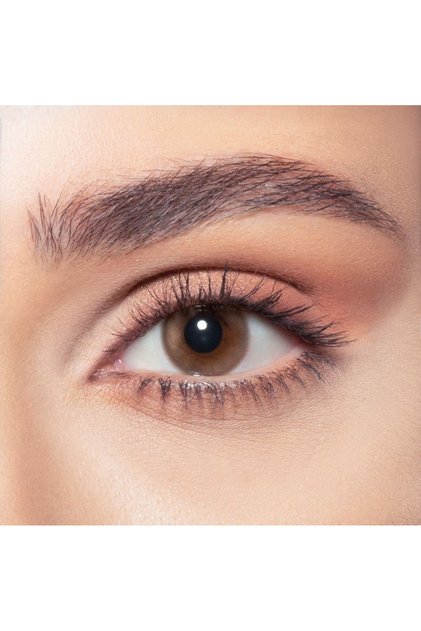 One Day Venus Pack Of 10 Daily Disposable Contact Lenses, Color Contact Lenses, Brown Contact Lenses