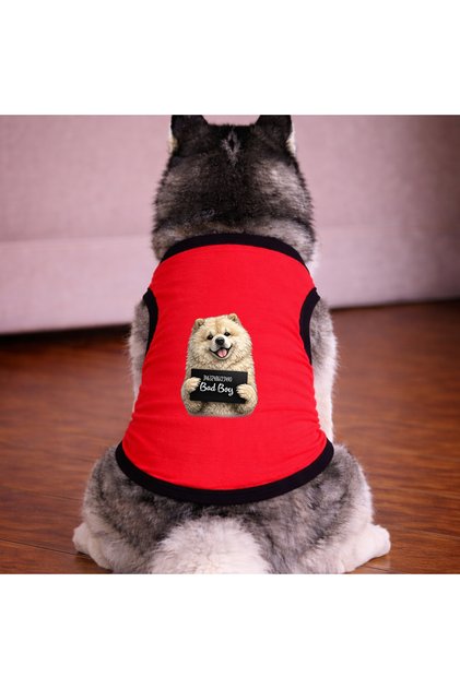 Red Wanted Chow Chow Dog Tshirt Dog Outfit (100% Cotton Combed Cotton) Small and Large Breeds