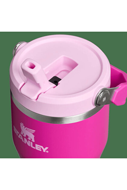 Stanley THE ICEFLOW 0,60L VIOLET(PEMBE) - Fiyatı, Yorumları