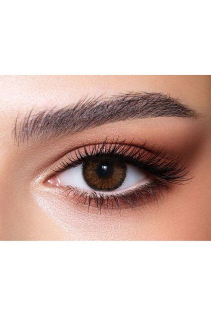 Contour Hazel 3 Months Disposable Contact Lenses, Color Contact Lenses, Brown Contact Lenses