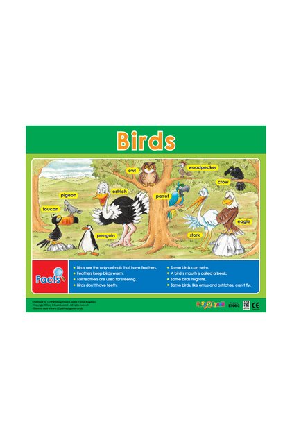 Birds - Wall Chart in English