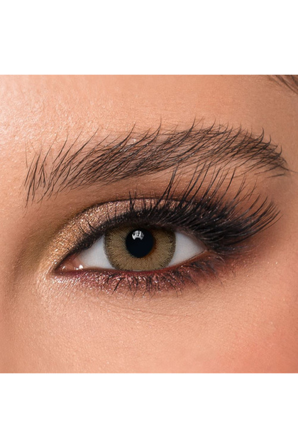 DYE Nola 3 Months Disposable Contact Lenses, Color Contact Lenses, Brown Contact Lenses