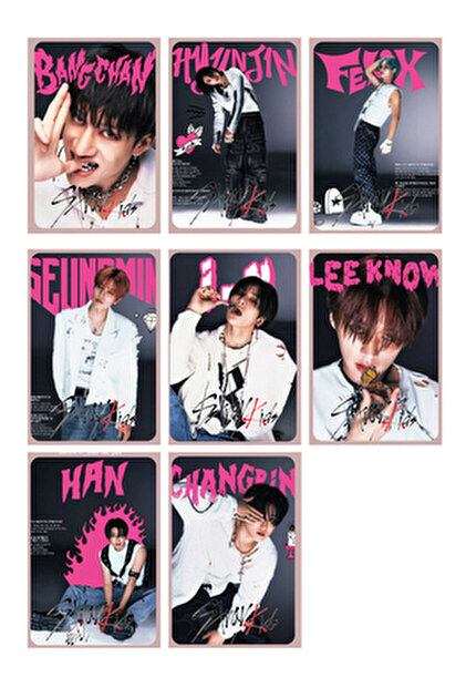 KSTAR Seventeen Promo Albüm (POSTER - STİCKER - FOTOKART) Kpop