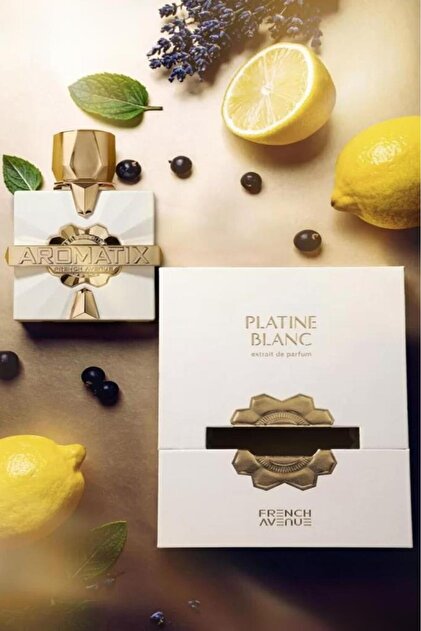 Fragrance World Aromatix Platine Blanc Extrait EDP 100 ml Erkek