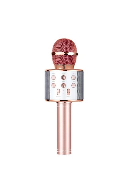 Microfon wireless cu difuzor, Adcos, 20 cm, Bluetooth, Radio, Multicolor