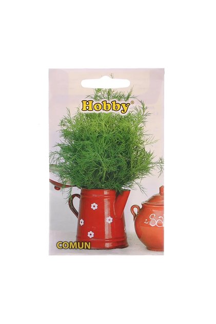 Seminte plante aromatice, marar comun, Hobby