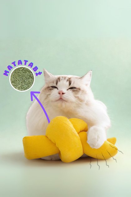 Burmese Cat Herbal Catnip Cat Toy