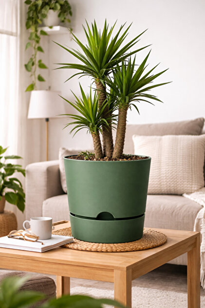 ☘️aiiKEN73*Garden☘️AG202605 Poliwork Begonya 18 Cm Tabaklı Saksı 3,3 Lt (YEŞİL)ağız Çapı 18cm