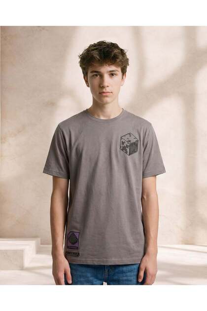 Senior Boys Grey Printed T-Shirt