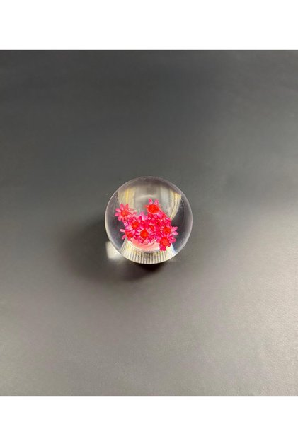 Red Floral Epoxy Gear Shift Knob – Transparent Design Decorative Manual Gear Shift Knob Universal
