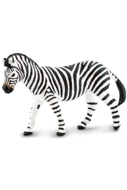 Zebra de stepa