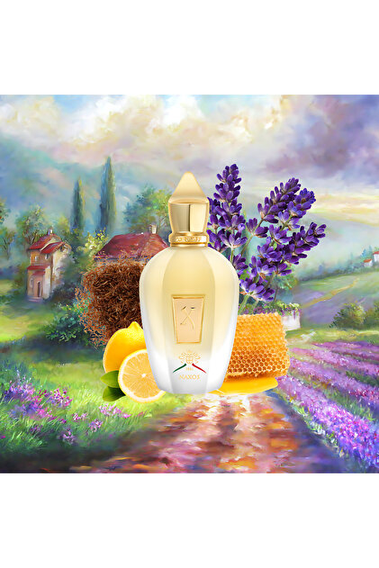 XerjoffVibe Xerjoof Naxos EDP 100 ml Unisex Parfüm - Fiyatı, Yorumları
