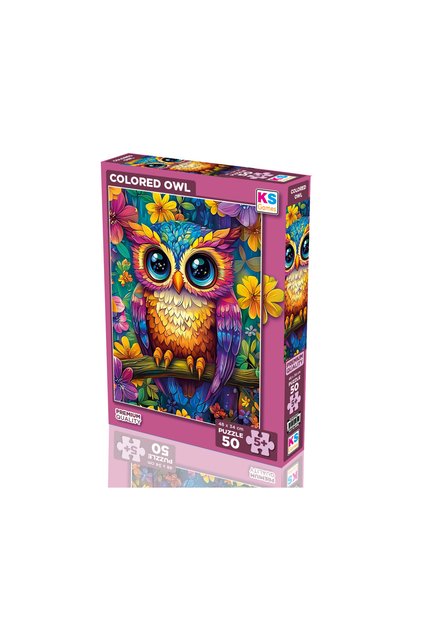 Colored Owl 50 Parça