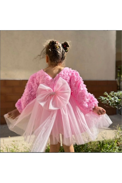 Baby Girl Children's Birthday Party Wedding Dress Long Sleeve Rose Bow Tulle Tutu Lined